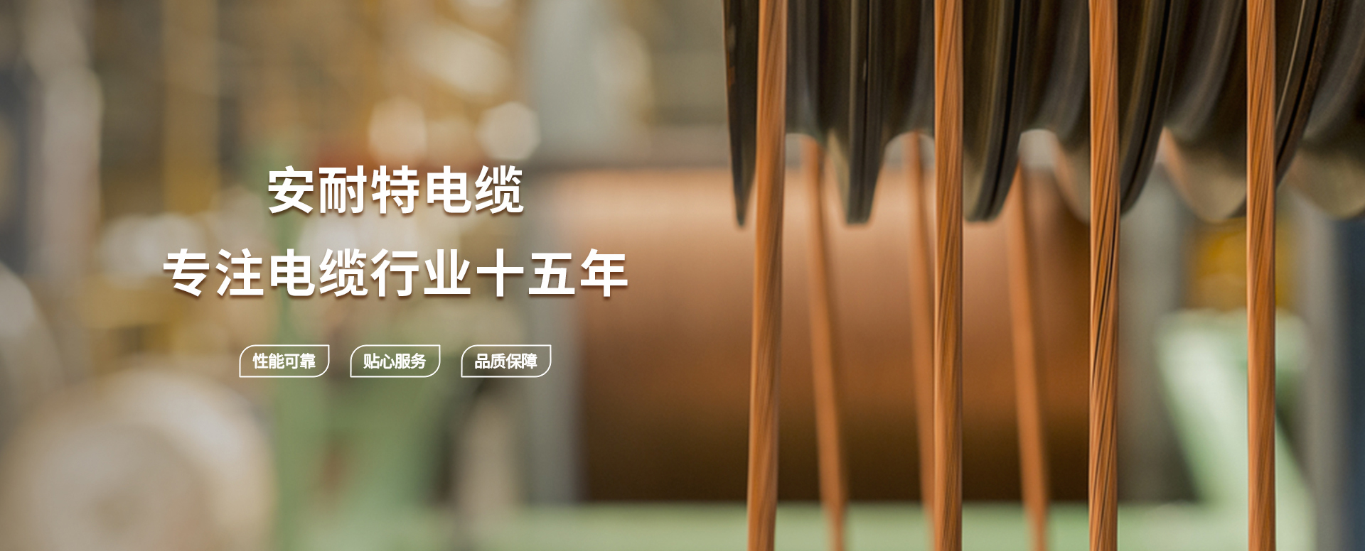 安耐特电缆（常州）有限公司
